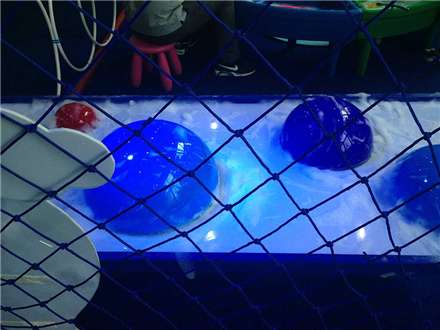 樂(lè )園實(shí)景-(120)