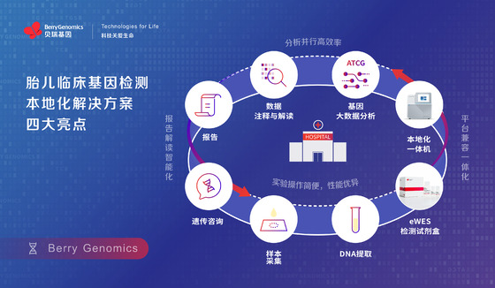貝瑞基因發布胎兒臨床基因檢測本地化解決方案,助力出生缺陷預防